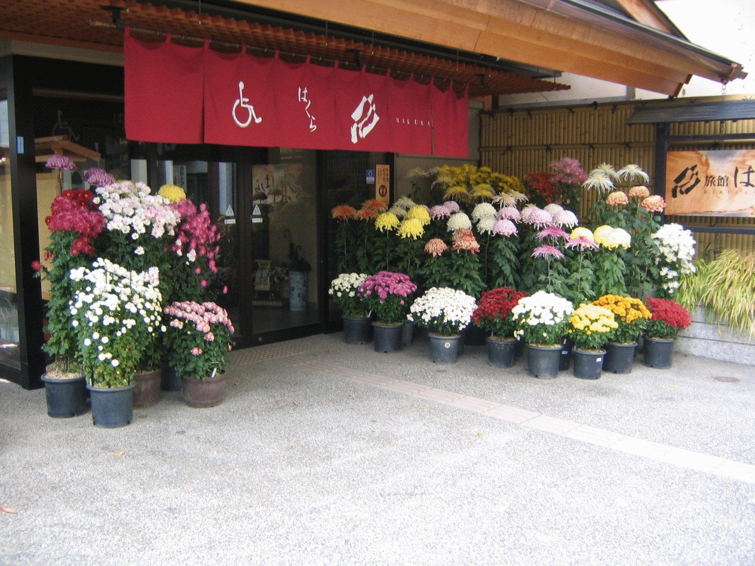 Ryokan Hakura Hotel Yamanouchi  Exterior photo