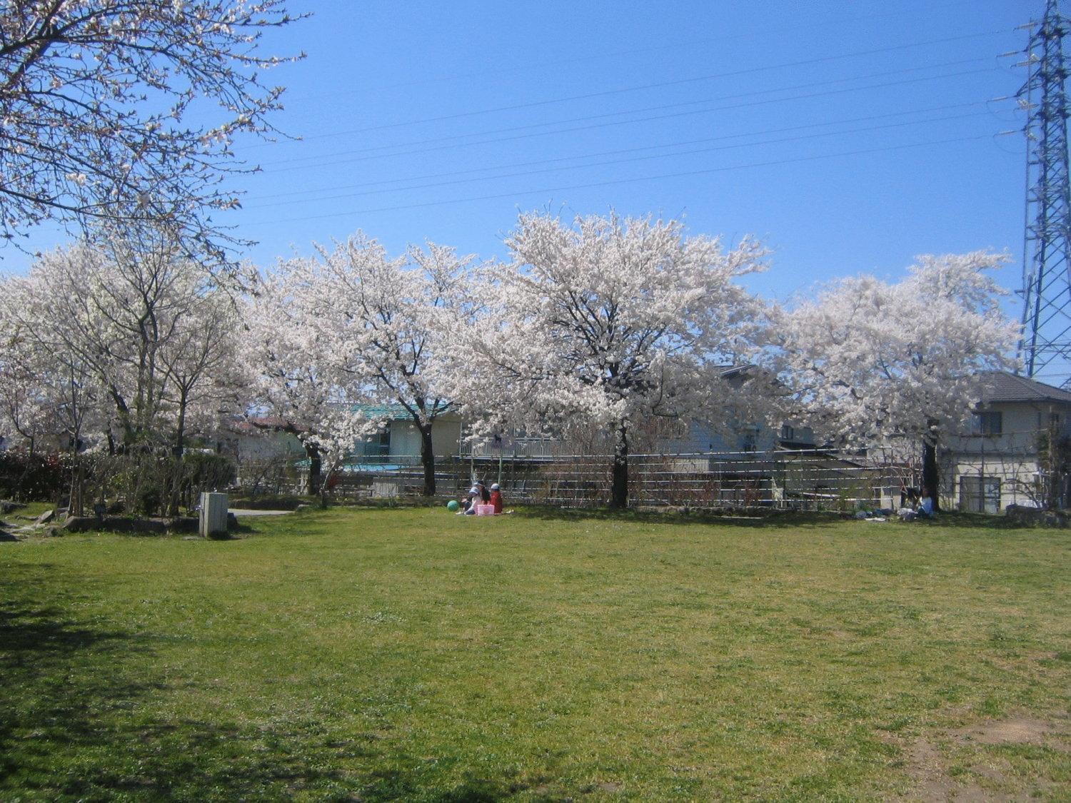 Ryokan Hakura Yamanouchi  Exterior photo